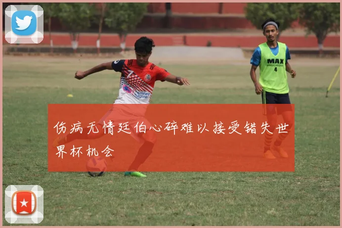 伤病无情廷伯心碎难以接受错失世界杯机会